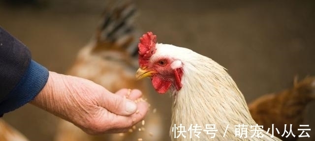 大吉|大年初一，牢记“5吃3不做”，寓意牛年顺利大吉，老规矩别忘了