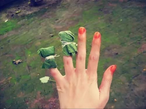 凤仙花，除了染指甲，还有很多作用，少有人知道