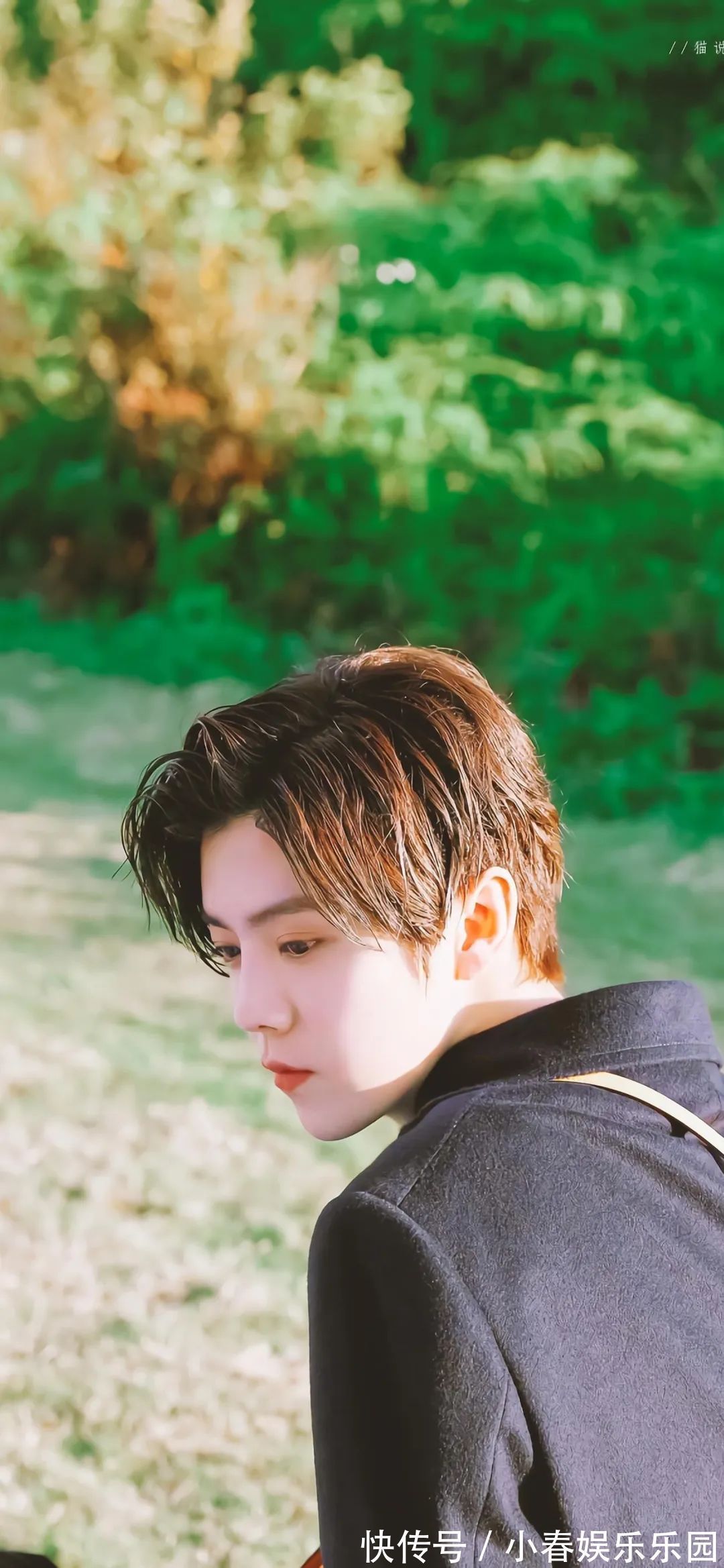 小姐姐壁纸丨一声梧叶一声秋,一点芭蕉一点愁,三更归梦三后