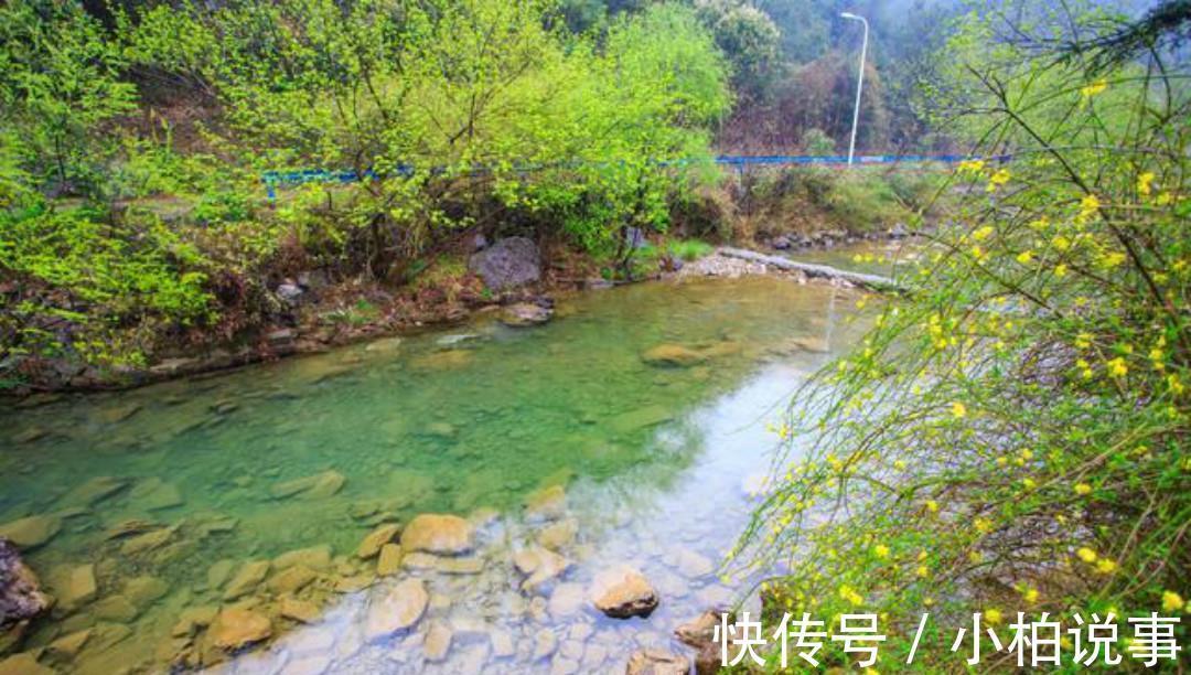 王维#王维的境界无人能及,晚年写下的这首五绝,一字一句超凡脱俗!