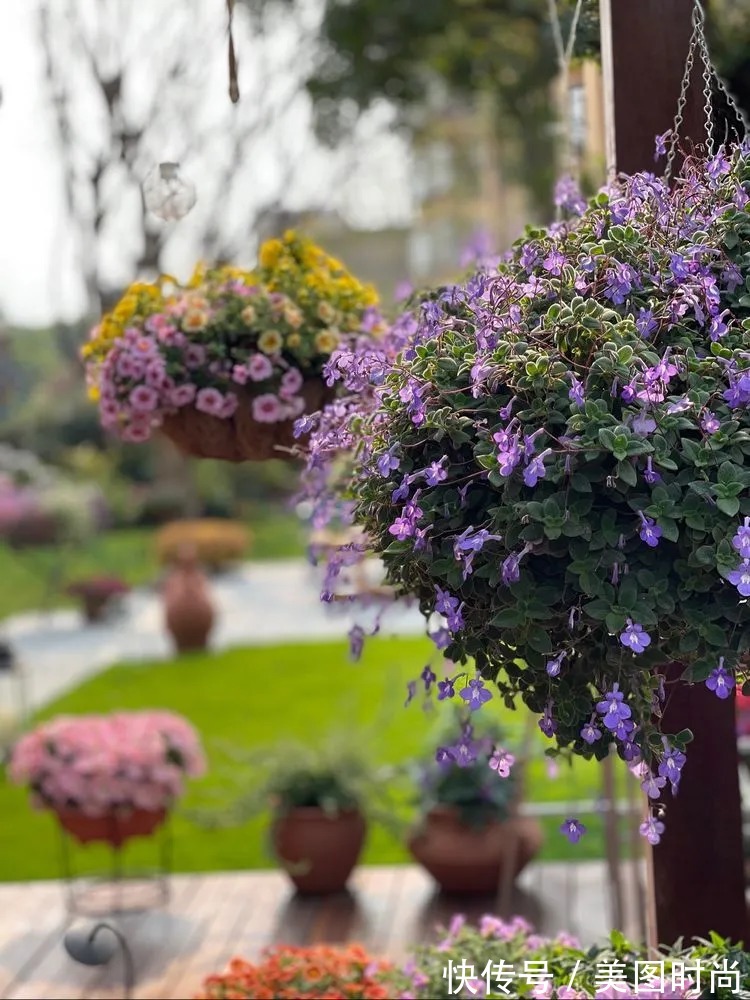 下午茶|一楼430㎡大院子,用1年半建成花园,网友:你这是建了个公园吧?