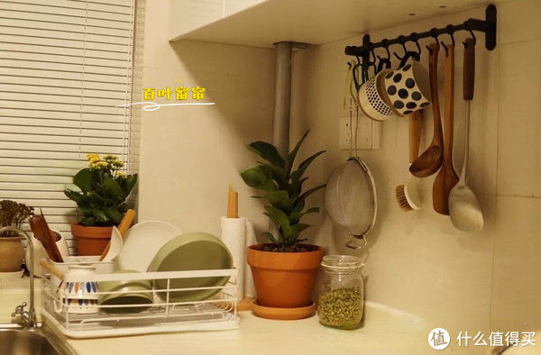 屋主|为了改造我家的厨房，我把我妈支走了，不知道回来是惊喜还是惊吓