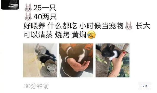 |你有什么爆笑的段子沙雕图?