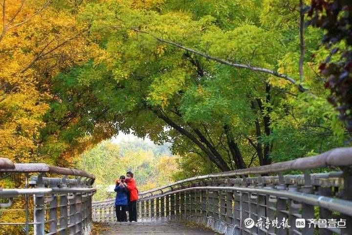 泉城公园|济南泉城公园进入最佳观赏季，植被五彩斑斓处处皆秋景