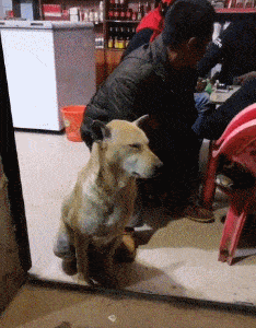 |搞笑GIF:大哥上辈子拯救过世界啊!女朋友这么体贴