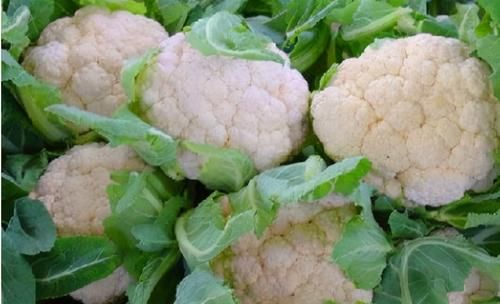 长寿老人爱吃3种食物,营养丰富、降压减脂,好吃也不贵!