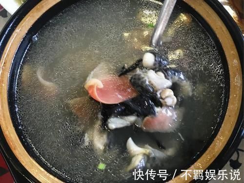 木耳|若在石壁上见到这“东西”，请你重视起来，价值很高，不要错过