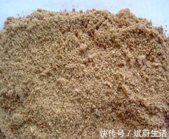 花盆|花盆里放这“4种料,”叶子越长越肥,土壤不板结,花开一朵朵