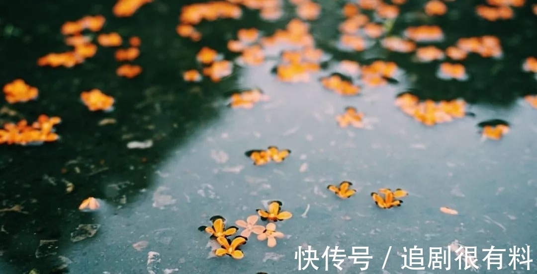 素光|秋雨落，听雨声，伤了谁的心，落下谁的泪，成了谁笔下的泪痕？