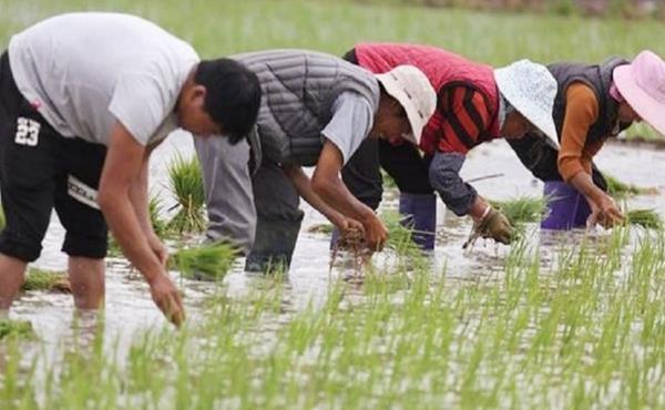 俗语|俗语“有福之人两腿毛,无福之人毛两腿”,老祖宗的识人术