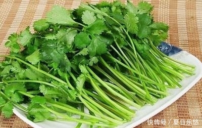  连续|香菜煮水，连续喝上3天，竟有几大作用，太好用了