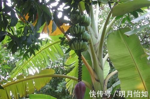 维生素b1|中年女性多吃3种食物,排毒养颜、去除皱纹,早吃早健康!