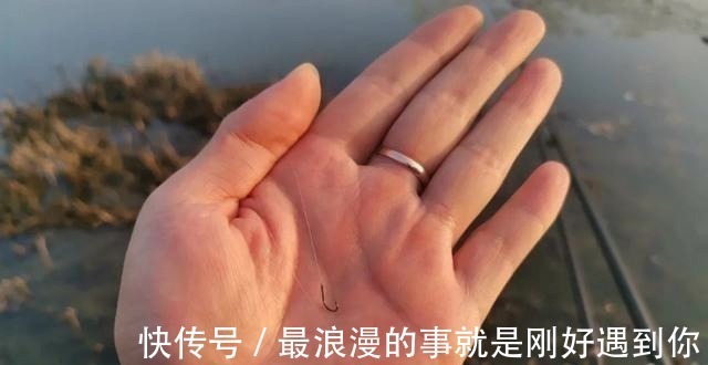 钩条|野钓别只用伊势尼!想大小通杀,还是这几种鱼钩效果更好
