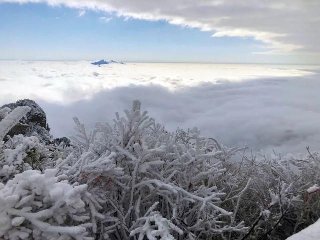 老君山景区雪后化仙境，游客直呼太幸福