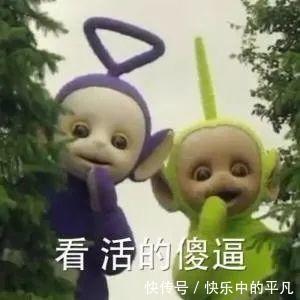 宝宝|天线宝宝表情包汇总 去年的目标实现了吗?