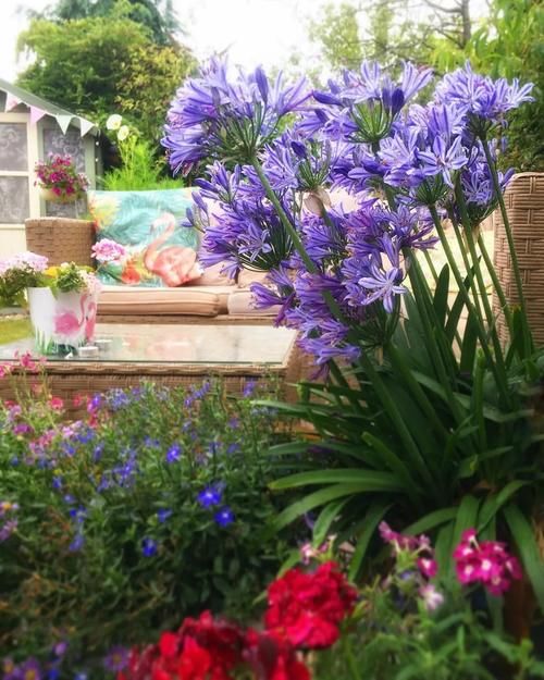  气味|30款精致小院，温馨有人气味。