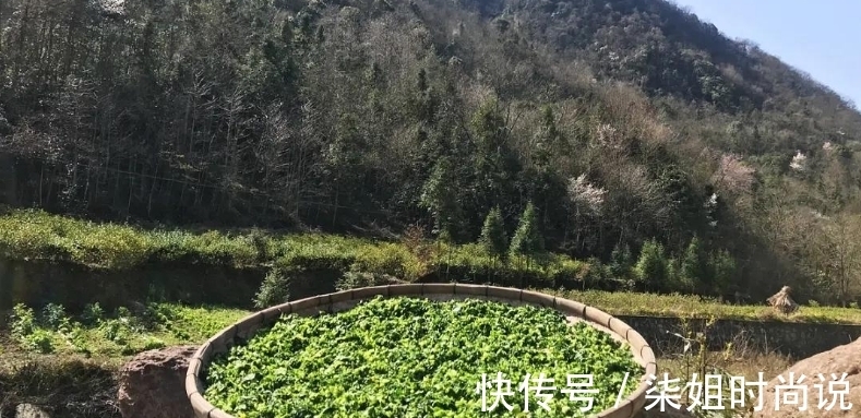 快学学|快立秋了,这5种蔬菜新鲜又便宜,买10斤晒干,冬天炖肉吃,贼香