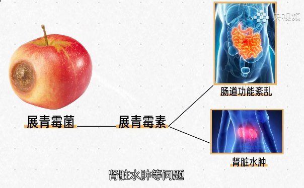 细胞|食物部分坏了还能吃吗？关键得区分这几种情况