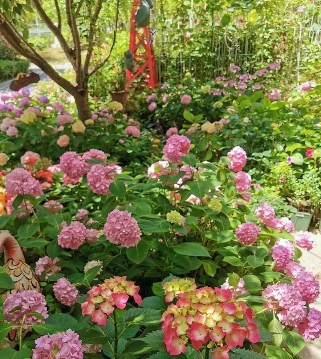 有了30平方的小院,能将日子过成了诗简单而精致,优雅而从容