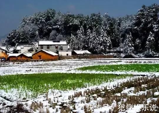 西塘|奇景！中国最美10大古镇都下雪了，刚拍的，美到爆！