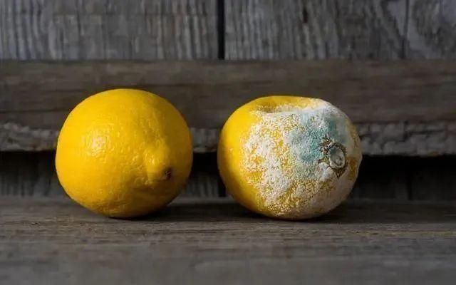 80后夫妻查出胃癌，当心两种饮食习惯让胃癌悄悄靠近！