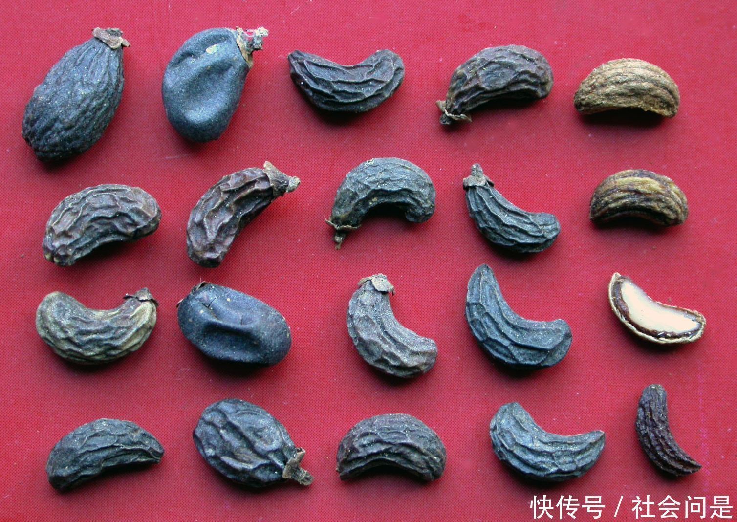 中药|一味中药这样用，调理头晕耳鸣，遗精便秘等症附常用中成药