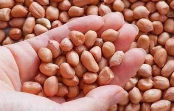 中医4种人不能吃花生,吃对了是长寿果,吃错就是“催命符”!