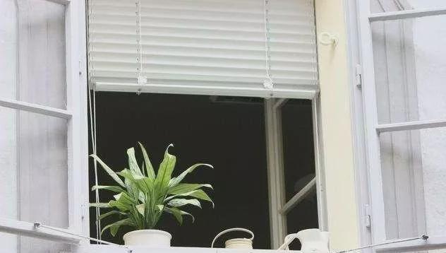 新房|新房通风一年，甲醛还是超标！3种材料在“捣蛋”，你家还在用吗