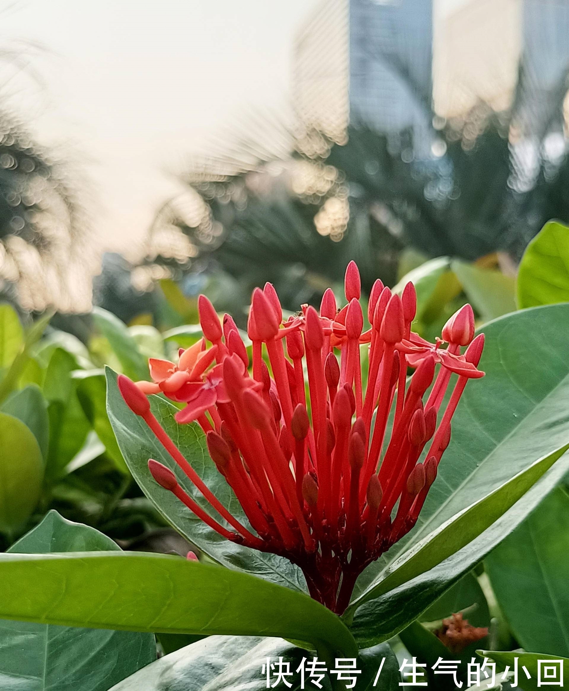 感受|体验无短板!OPPO K7x拍照感受:千元机也能所拍即所得