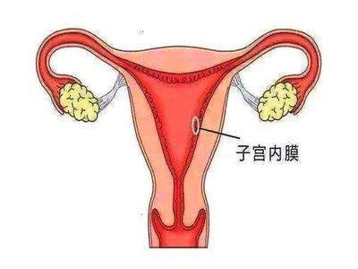 雌激素|贝安健康：子宫内膜薄还有机会怀孕吗？