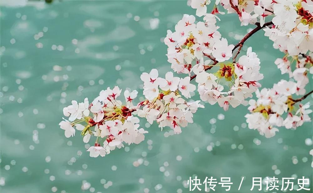 苏轼#诗酒趁年华|望江南·超然台作