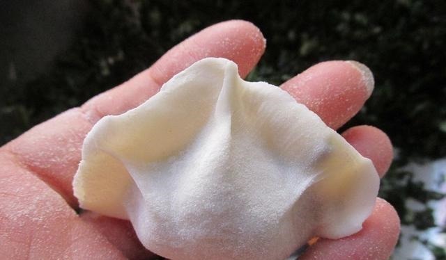 吃饺子这馅真鲜,比韭菜芹菜好吃多了,出锅连吃30个,比肉馅好吃