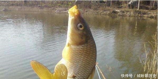 野钓时，为何你总钓不到大鱼？老钓友只重视这2点，新手却常忽视
