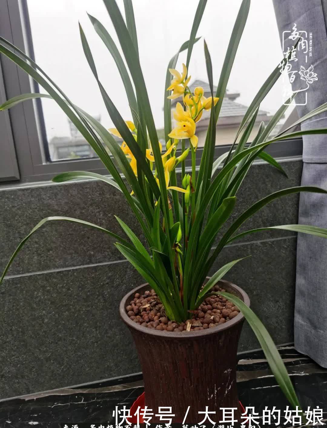 春暖花开,万物复苏,多肉迎来最美时光!