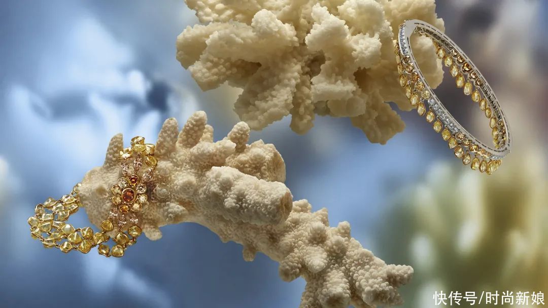 明星红毯才能一见的高级珠宝，究竟有多大的魅力？