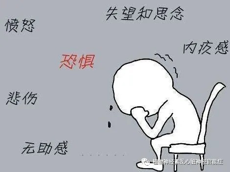 焦虑|植物神经紊乱，可怕的植物神经紊乱，害的我简直生不如死