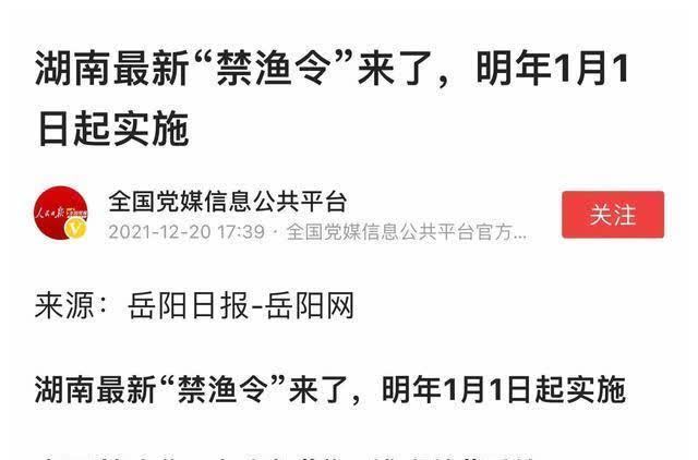 渔令|从此告别双钩钓鱼？史上最严“禁渔令”即将来临，钓鱼何去何从？