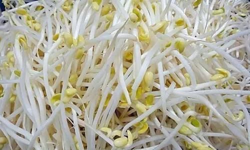 膳食纤维|含有毒素的五种蔬菜，我们竟然还当成宝贝，看看你中招没