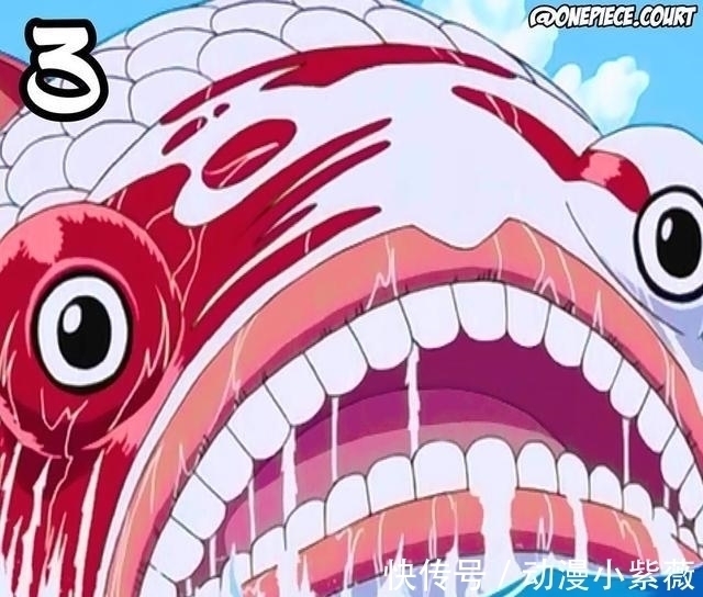 海王类|海贼王中最高大的10个生物,庞岛的人造龙垫底,象主有几万米高