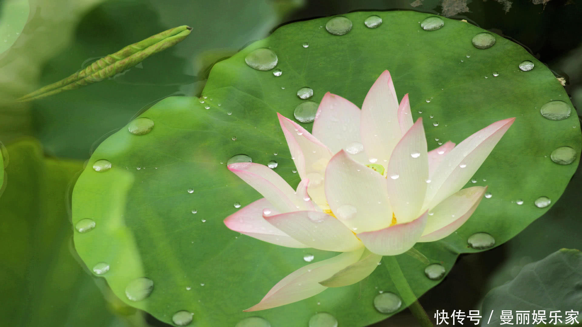几个日子|阴历生日在此5天的孩子,有着富贵命,男女都有致富潜力