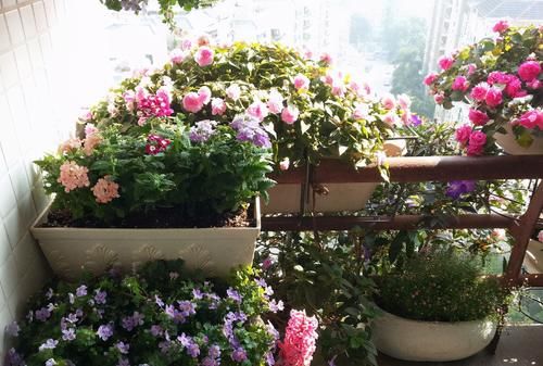 养好花的前提是让养花土变得更疏松肥沃，但该怎么操作？