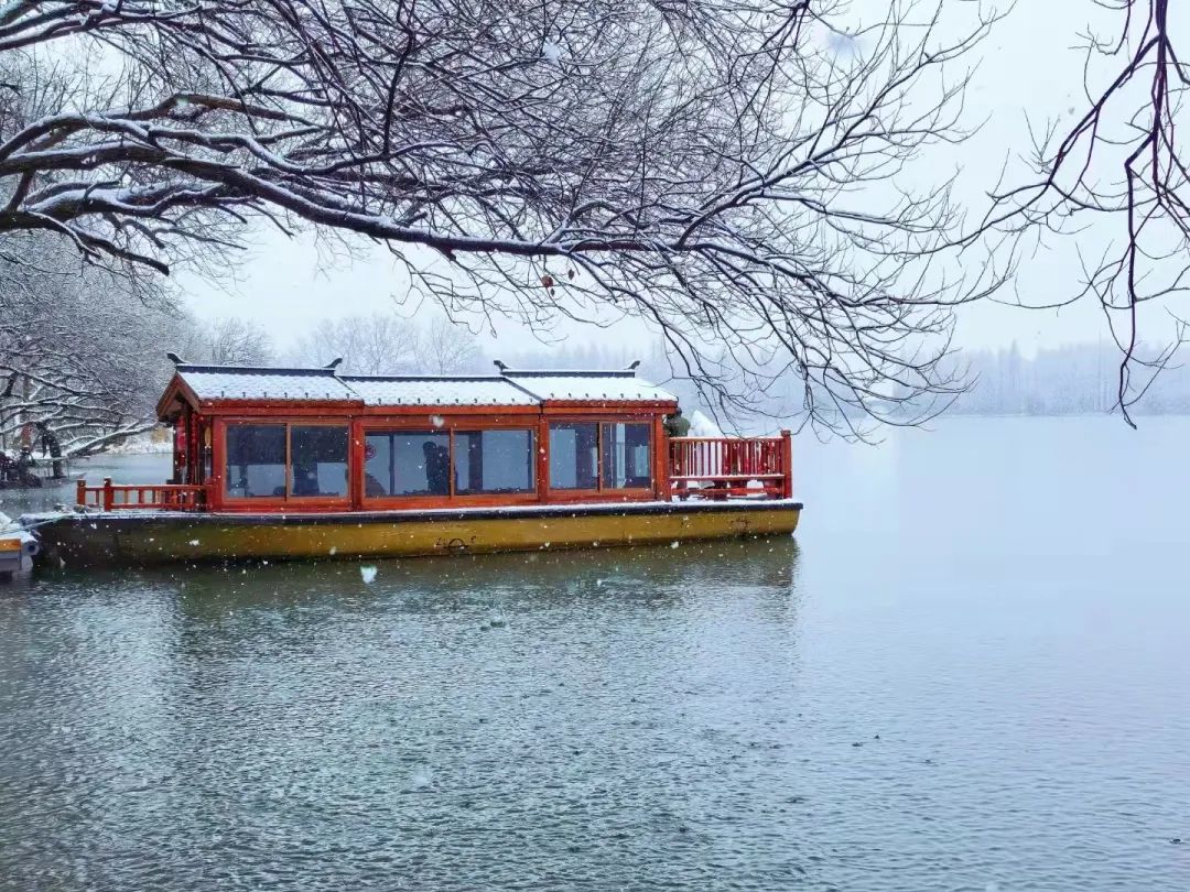 雨雪|此刻的杭州，太美了吧！