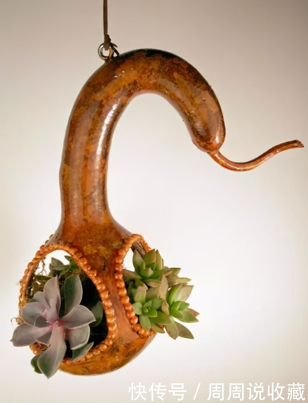 文玩|告诉大家3种稀奇古怪的文玩小玩意儿