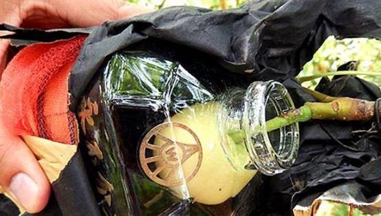 放到瓶中|五粮液“永不分梨”酒的梨,是怎么放进去的商家表示小菜一碟