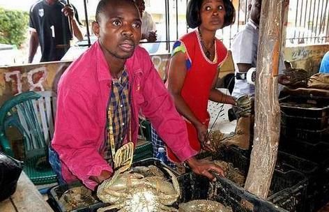 非洲人最大的困惑此物腥味这么重,为何成了中国的顶级食材