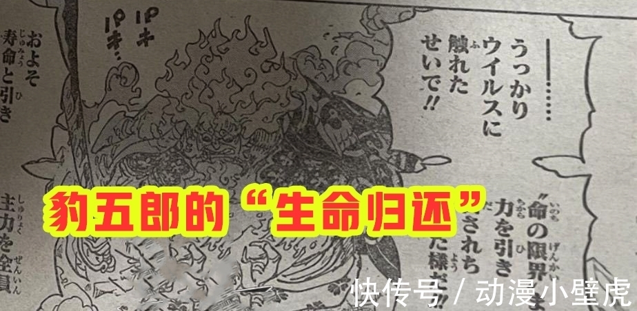 兔子|海贼王1006话:小马哥被烬斩落翅膀,豹五郎释放“生命归还”