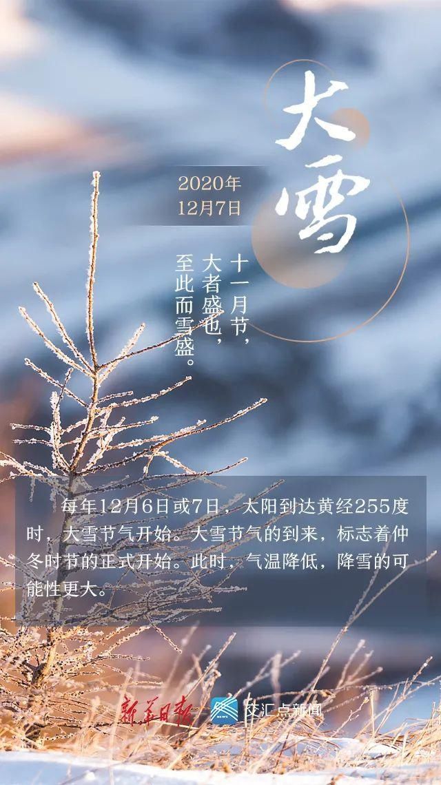  仲冬|大雪至，仲冬始！你那里下雪了吗？