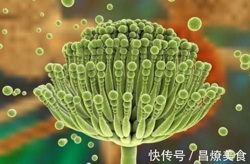 小肠癌|家家厨房都有的食物,竟是肝癌的“帮凶”,别再让孩子吃了!