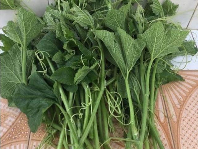 结石|小小一个南瓜藤方子,就能让得结石的人有所好转,后悔现在才知道