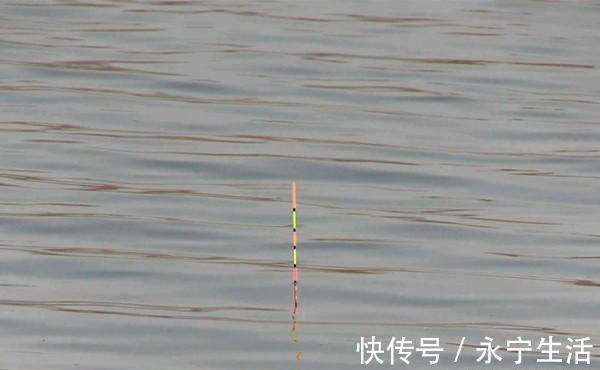 双钩|钓鱼技巧:年底了,把调漂公式总结一下,不会调漂,对着公式学习